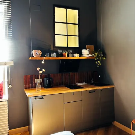 아파트 Loft Nowy Swiat Centrum Lok 3